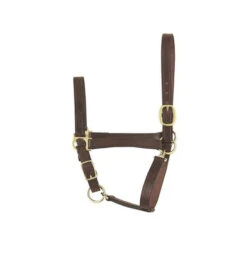 Perri's Economy Leather Foal/Pony Halter