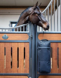 LeMieux Elite Pro Bridle Bag -Equestrian Supplies Store elite pro bridle bag stall lemieux 67563.1689195549