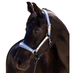 Halter Ego Elsa Halter -Equestrian Supplies Store elsa halter neon.blue halter ego 47152.1682705317