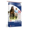 Purina Equine Active Senior -Equestrian Supplies Store equine active senior 3003276 506 purina 90433.1628121122