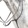 Prestige EVO Running Martingale 1 Prestige EVO Running Martingale -Equestrian Supplies Store evo running martingale brown side D37 prestige 14194.1660605911