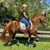 DSB Glossy Patent Dressage Sport Boot 2 DSB Glossy Patent Dressage Sport Boot -Equestrian Supplies Store glossy navy boots lifestyle dsb 56448.1592335795