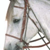 Kincade Gogue -Equestrian Supplies Store gogue brown side 562020 weatherbeeta 03008.1671746969