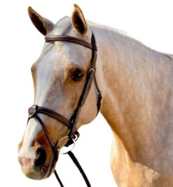 Halter Ego Halifax Hunter Bridle -Equestrian Supplies Store halifax hunter bridle brown 3 halter ego 17318.1688000592