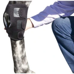 Ice Horse Hock Wrap With Inserts - SINGLE -Equestrian Supplies Store hock wrap applied ice horse 63106.1642972773