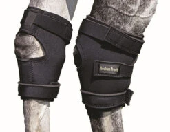 Back On Track Hock Boots 5 Back On Track Hock Boots -Equestrian Supplies Store hock wraps back on track 002 29857.1587775389