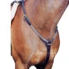 Nunn Finer Elastic Hunt Breastplate -Equestrian Supplies Store hunt breastplate elastic 83 nunn finer 65441.1643842987