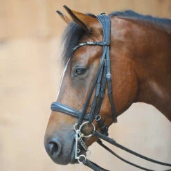 Kavalkade Ivonne Convertible Double Bridle
