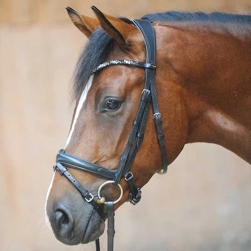 Kavalkade Ivonne Convertible Double Bridle 4 Kavalkade Ivonne Convertible Double Bridle - Image 2