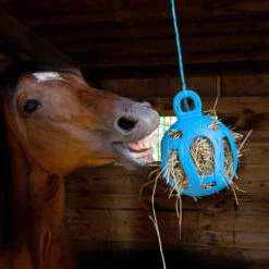 Jolly Hay Ball -Equestrian Supplies Store jolly hay ball blue 165493 horsemans pride 65558.1650404727
