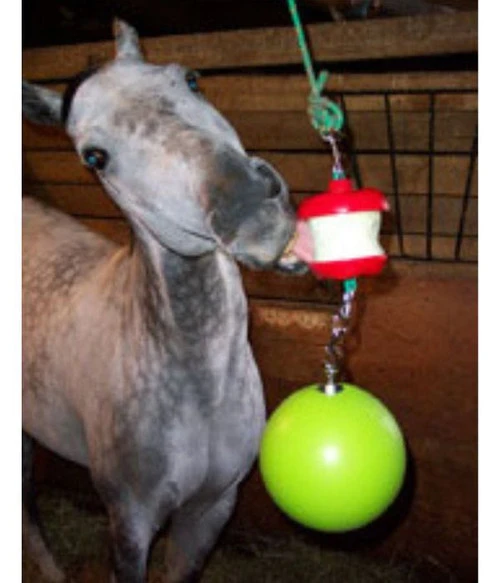 Jolly Stall Snack Combo Horse Toy 3 Jolly Stall Snack Combo Horse Toy