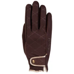 Roeckl Sports Roeckl Julia Winter Gloves -Equestrian Supplies Store julia glove mocha brown roeckl 31690.1638394061