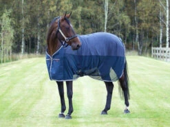 B Vertigo Kansas Mesh Cooler