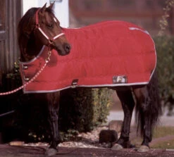 Big D Kodiak Stable Blanket -Equestrian Supplies Store kodiak insulated blanket 27769.1649964255