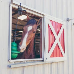 Kong Equine Hanging Kit Horse Toy -Equestrian Supplies Store kong hanging standard green window kong equine 56075.1638045204