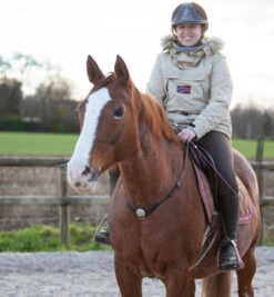 In Horse We Trust Liberty Neck Strap -Equestrian Supplies Store liberty neck strap havana on horse NECK STRAP in horse we trust 83032.1658788014