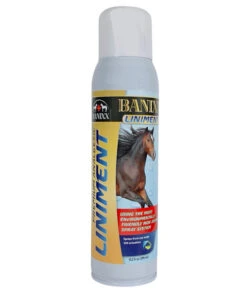 Banixx Premium Analgesic Liniment