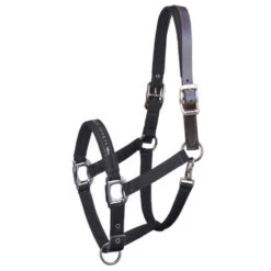 Schockemohle Memphis Fleece Lined Halter -Equestrian Supplies Store memphis breakaway black 1311 00020 schockemoehle 55437.1650664913