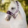 Mini LeMieux Vogue Halter & Lead Rope -Equestrian Supplies Store mini vogue headcollar fig pony lemieux 06965.1689972067