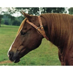 Weaver Leather Miracle Collar -Equestrian Supplies Store miracle collar 3 90091 79088.1527294331