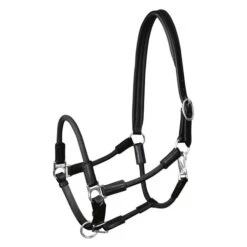 Waldhausen Nevada Hybrid Halter -Equestrian Supplies Store nevada hybrid halter black silver 5050201 waldhausen 12377.1657228145