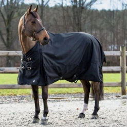 Horze Pony Nevada 1200D Rain Sheet