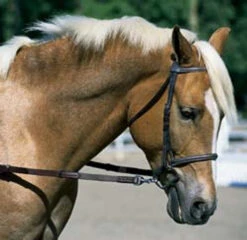 Nunn Finer Elastic Side Reins - Pony -Equestrian Supplies Store nunn finer elastic side reins pony 2 83217 55621.1587241540