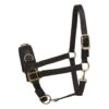 Perri's Nylon Lunge Cavesson -Equestrian Supplies Store nylon lunge halter black 805H perris 26069.1684772374