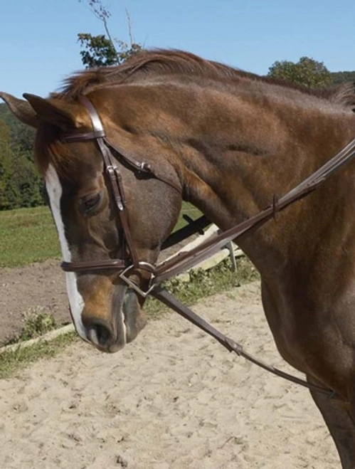 Ovation Stretch Cord Draw Reins 3 Ovation Stretch Cord Draw Reins