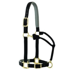 Weaver Leather Weaver Padded Adjustable Halter -Equestrian Supplies Store padded adjustable halter black 357786P1 weaver 30225.1576366520