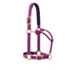 Weaver Leather Weaver Padded Adjustable Halter