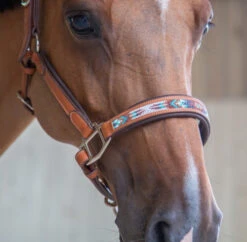 PÉNÉLOPE Pénélope Pearl Leather Halter -Equestrian Supplies Store pearl halter cognac noseband1 510 311 302 penelope 65794.1688687941