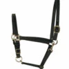 Perri's 3/4-Inch Leather Turnout Halter -Equestrian Supplies Store perri s 3 4 inch leather turnout halter 1 92560 01541.1527297524