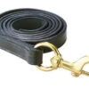 Perri's Leather Lead With Brass Snap -Equestrian Supplies Store perri s leather lead with brass snap 1 63908 05115.1527293486