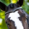 KL Select Pirouette Crystal Browband -Equestrian Supplies Store pirouette browband black horse 1 kl select 38039.1668187877
