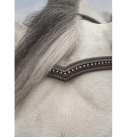KL Select Pirouette Crystal Browband -Equestrian Supplies Store pirouette browband brown horse kl select 26005.1668189795