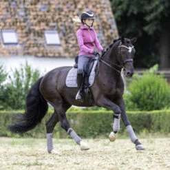 LeMieux Polo Bandages -Equestrian Supplies Store polo bandages grey horse 9839 lemieux 08848.1670613727