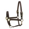 Perri's Premium Nylon Safety Halter -Equestrian Supplies Store premium nylon safety halter black 150HBL perris 43207.1684804357