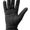 Kunkle Equestrian Premium Show Gloves -Equestrian Supplies Store premium show glove black palm kunkle 15817.1685729606