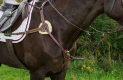 Henri De Rivel Pro 5-Point Elastic Breastplate -Equestrian Supplies Store pro 5 point elastic breastplate australian nut horse 5098 08 hdr 83155.1672253974