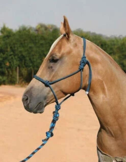 Professional's Choice Rope Halter With 10 Foot Lead -Equestrian Supplies Store professional s choice rope halter with 10ft lead 1 67619 07307.1537223883