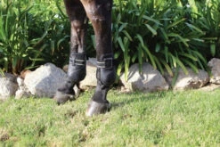 Professional's Choice VenTECH Leather Ankle Jump Boot