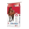Purina Strategy GX -Equestrian Supplies Store purina strategy gx bag 47191.1627923796