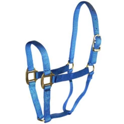Hamilton Quality 1" Nylon Halter -Equestrian Supplies Store quality 1in nylon halter berry blue 1Q BY hamilton 67147.1685665703