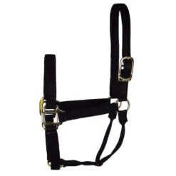 Hamilton Quality 1" Nylon Halter -Equestrian Supplies Store quality 1in nylon halter black 1Q hamilton 13858.1685665721