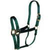 Hamilton Quality 1" Nylon Halter -Equestrian Supplies Store quality 1in nylon halter hunter green 1Q DKGR hamilton 97787.1685665697