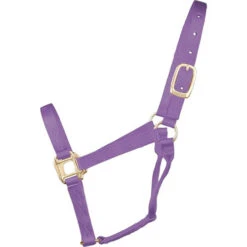 Hamilton Quality 1" Nylon Halter -Equestrian Supplies Store quality 1in nylon halter lavender 1Q AVLV hamilton 15621.1685665710