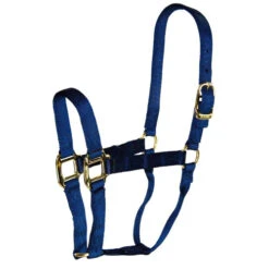 Hamilton Quality 1" Nylon Halter -Equestrian Supplies Store quality 1in nylon halter navy 1Q NV hamilton 21719.1685666724