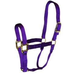 Hamilton Quality 1" Nylon Halter -Equestrian Supplies Store quality 1in nylon halter purple 1Q hamilton 55697.1685665730