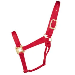 Hamilton Quality 1" Nylon Halter -Equestrian Supplies Store quality 1in nylon halter red 1Q hamilton 12014.1685665705